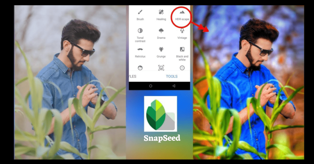 Snapseed Best Camera app  for photo editing